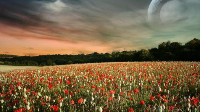 《沙丘》中为什么不把沙虫幼体运到其他星球去生产香料？